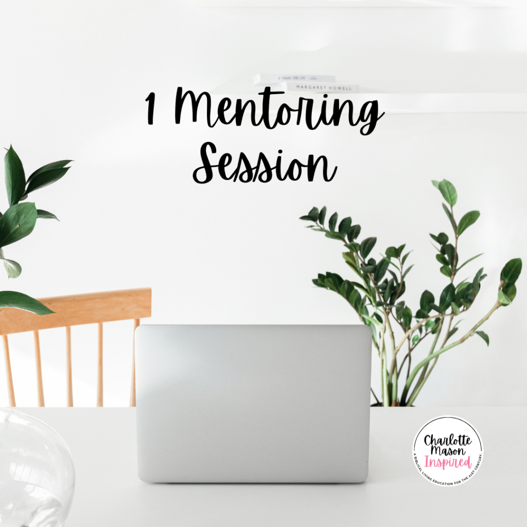 1 Mentoring Session