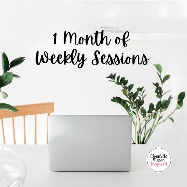 1 Month of Weekly Sessions