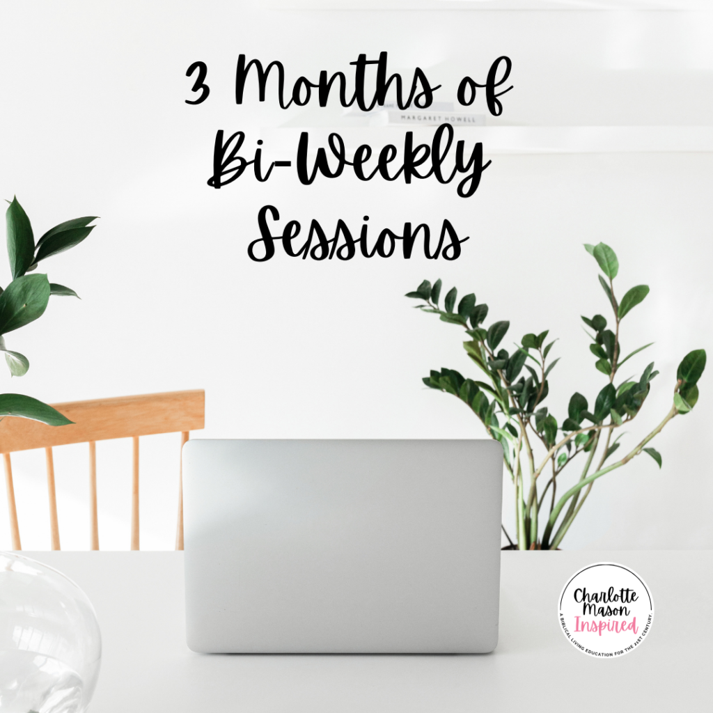 3 Months of Bi-Weekly Sessions